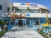 Creta aquarium Thalassokosmos